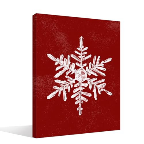 BIWSHA Snowflake Christmas Canvas Wall Art - 11x14 Inches, Red Decor