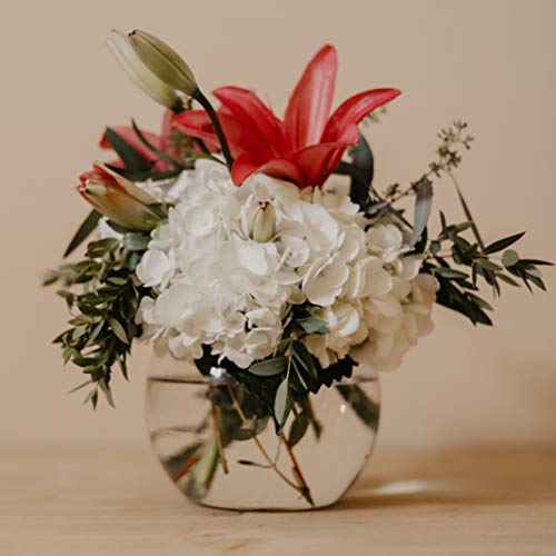 Clear Glass Bowl Vase (8" x 6") - Round Terrarium & Fish Bowl Centerpiece