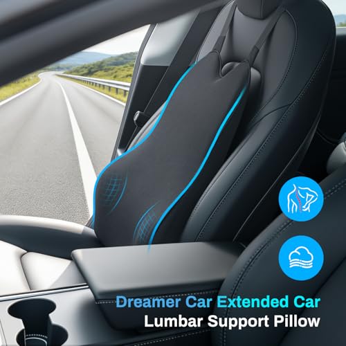 Lumbar Support Pillow for Car - Memory Foam Back Relief with Adjustable Straps