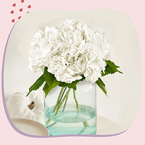 21-Inch Real Touch White Artificial Hydrangea Flowers with Stems, 5 Pack