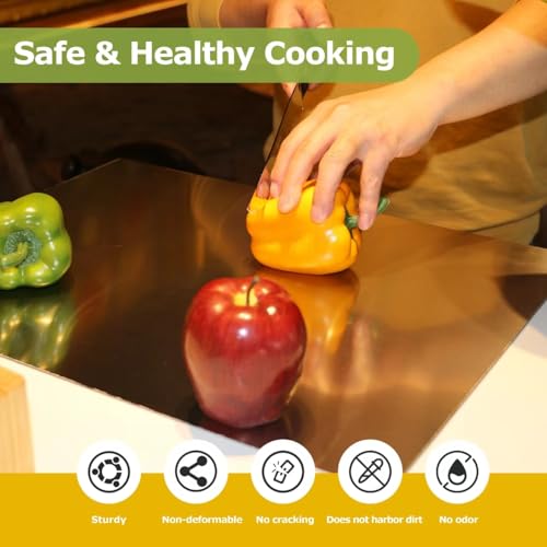 Stainless Steel Cutting Board with L-Shape Lip for Kitchen (15.7 x 11.8 in)
