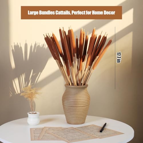 17-Inch Dried Natural Cattails - 20-Piece Set for Floral Arrangements