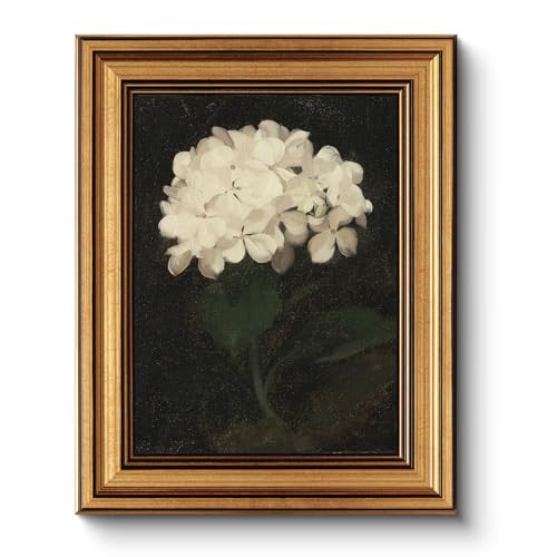 HUARCEY Gold Framed Vintage White Hydrangea Canvas Wall Art 8x10