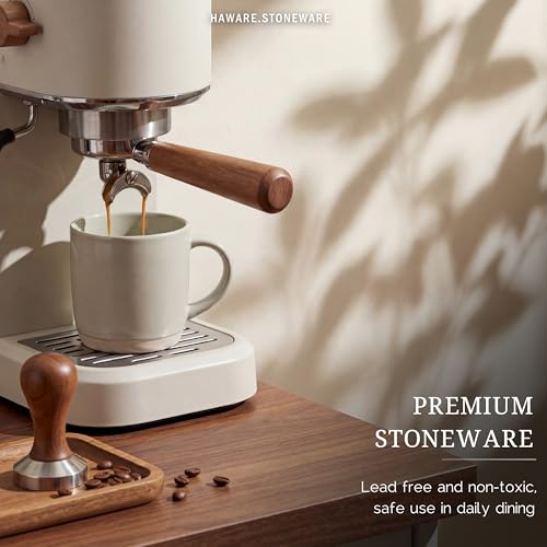 HaWare Speckled Multicolor 13oz Stoneware Coffee Mugs Set of 4 with Handles