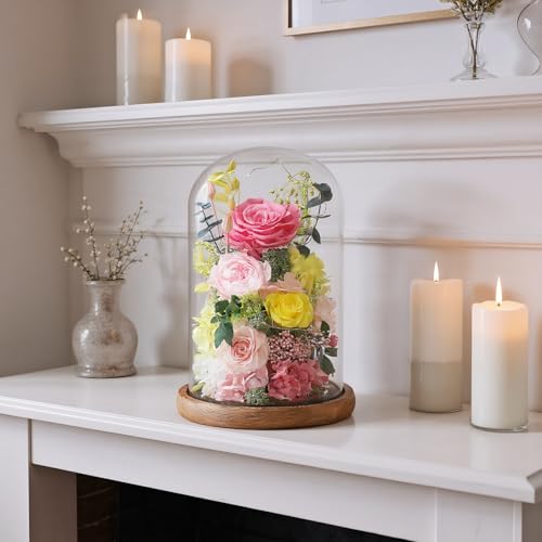 Preserved Pink Rose in Glass Dome with LED Lights for Romantic Gifts
