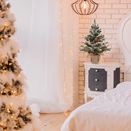 DECSPAS 2FT Pre-lit Snowy Mini Christmas Tree with 20 LED Lights, Red Berries & Pine Cones - Tabletop Holiday Decor