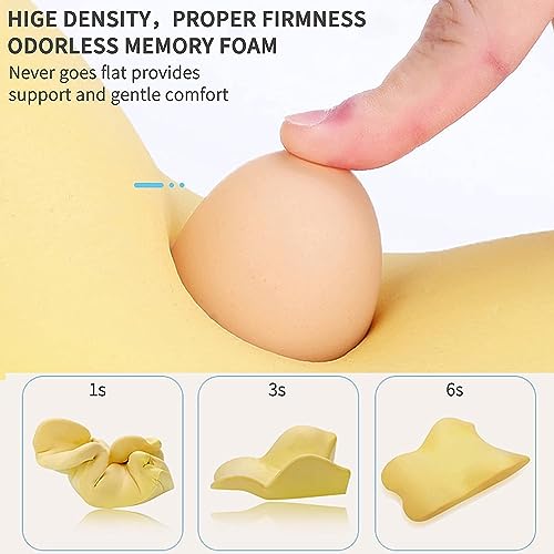 Memory Foam Lumbar Support Pillow for Car and Office Chairs