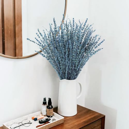 16-Inch Preserved Dried Lavender Flower Bundles, 100g Blue Bouquet