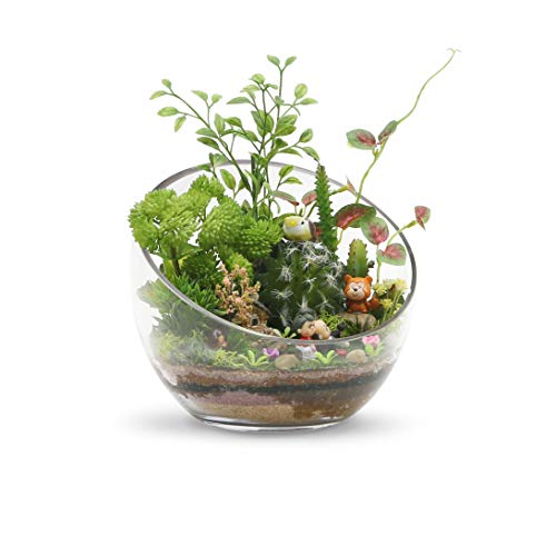 Clear Slant Cut Glass Bowl Vase - 7-Inch Decorative Terrarium & Candy Dish