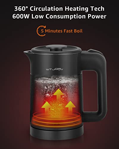 0.6L Portable Electric Kettle, Stainless Steel Travel Hot Water Boiler