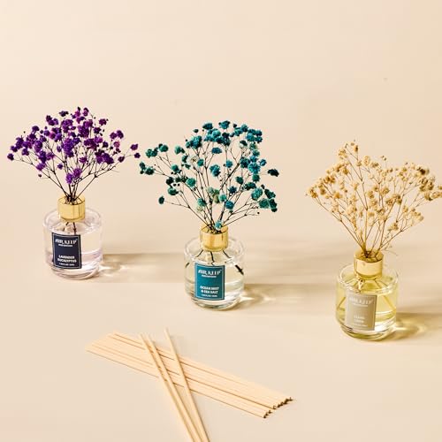 Reed Diffuser Set of 3 - Aromatherapy Oil Home Fragrance Set (3 x 50ml)