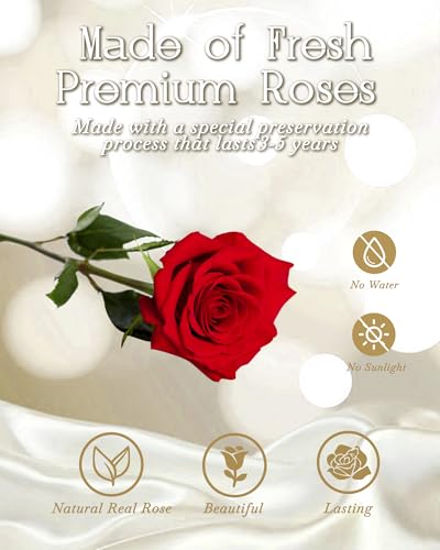 Preserved Rose Bouquet in Glass Dome with LED Lights, Eternal Floral Gift