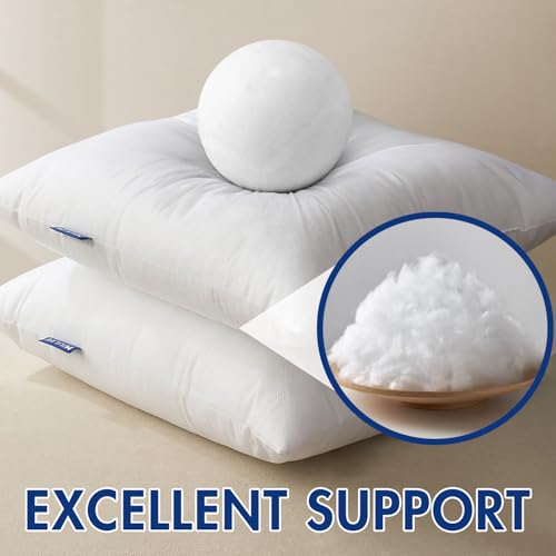 MIULEE 12x20 Inch Decorative Throw Pillow Insert for Couch & Bed