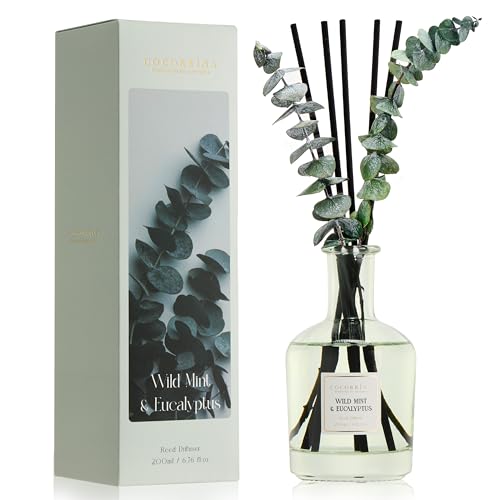Wild Mint & Eucalyptus Reed Diffuser Set with Dried Leaves (6.76 oz)