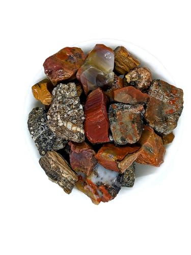 3 lbs Bulk Rough Agate, Jasper, and Petrified Wood Stone Mix, 1-2 Inch