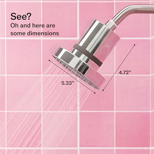 Filtered Showerhead for Hair and Skin Health, High Pressure Brushed Steel