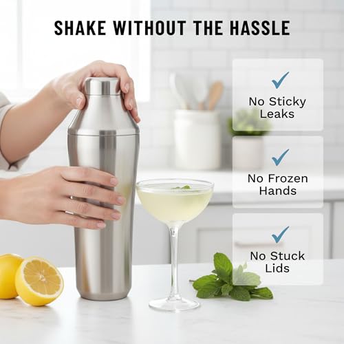 Elevated Craft Hybrid Cocktail Shaker Vacuum Insulated Stainless Steel 28 oz