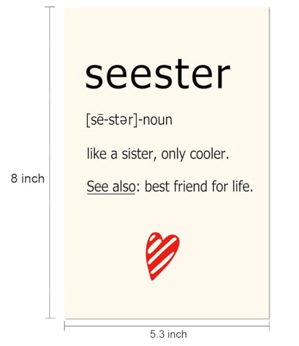 Seester Definition Card for Sister Gifts - Funny Sister Birthday & Christmas Card S2