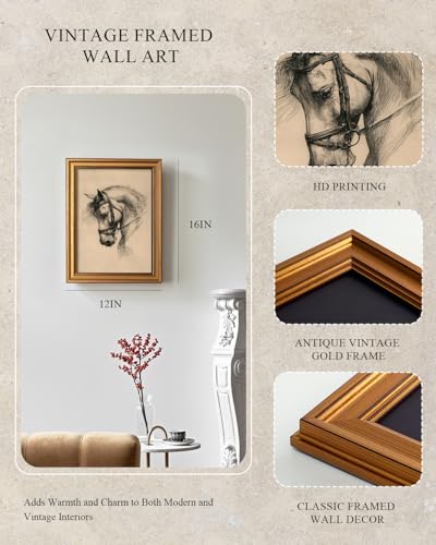 Vintage Horse Sketch Wall Art, 12x16 Gold Framed Animal Canvas Print