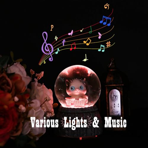 Musical Snow Globe with LED Lights, Ballet Girl & Swan Glass Water Ball