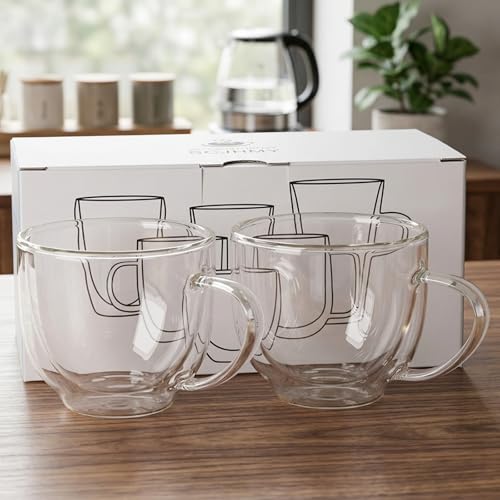 SCJHMY 6oz Double Wall Glass Coffee Mugs Set of 2 - Insulated Espresso Cups