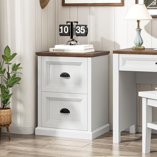 2-Drawer Farmhouse File Cabinet, White Wooden Under Desk Printer Stand