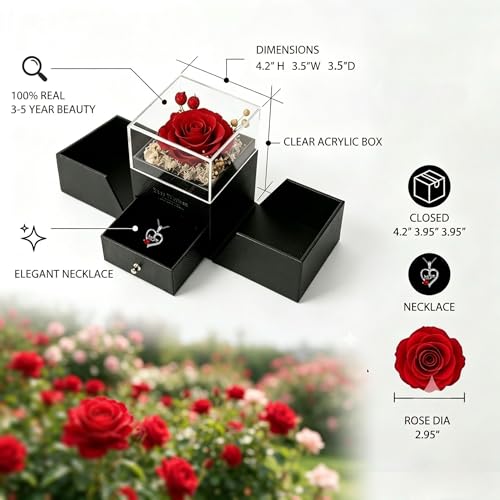 Red Preserved Real Rose with Heart Necklace - Mother's Day Gift Set