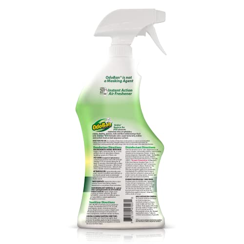 Disinfectant Spray and Odor Eliminator - 32 oz Eucalyptus Scent