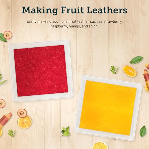 Fruit Leather Dehydrator Sheets, BPA-Free Non-Stick Trays, 2-Pack