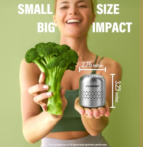 Stainless Steel Fridge Deodorizer for Refrigerator Odor Control