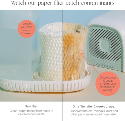 Bedside Humidifier Replacement Filters 3-Pack Wood Pulp Paper