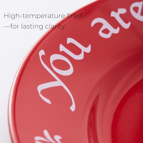 You Are Special Today 10.6-Inch Ceramic Celebration Plate - Red Keepsake