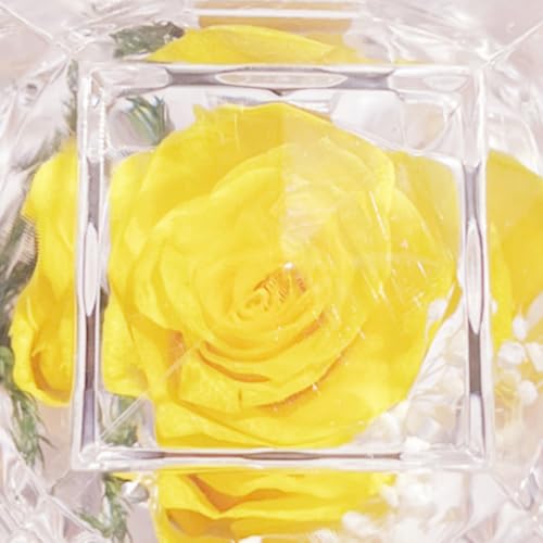 Preserved Yellow Real Rose in Clear Acrylic Ring Box for Gifts