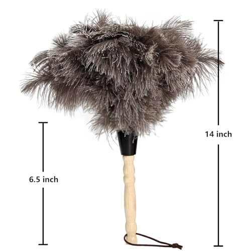 Natural Ostrich Feather Dusters with Wooden Handles, 14 Inch - 2 Pack