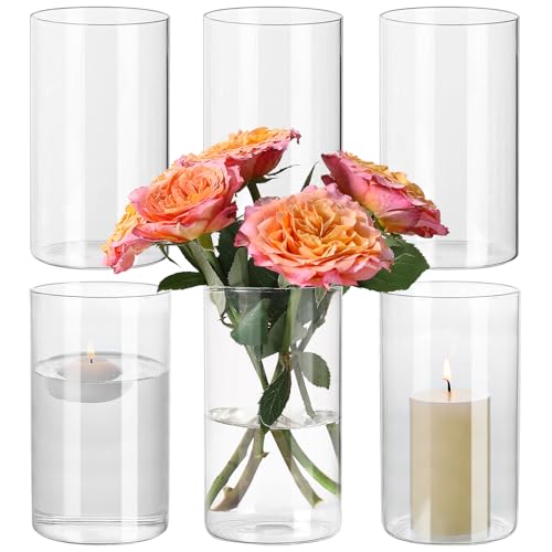 Clear Glass Cylinder Vases Set of 6 - 6 x 3.4 Inch Short Vases for Centerpieces