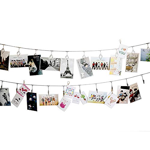 Steel Wall Hanging Photo Display Wire with 12 Alligator Clips, 5.25ft