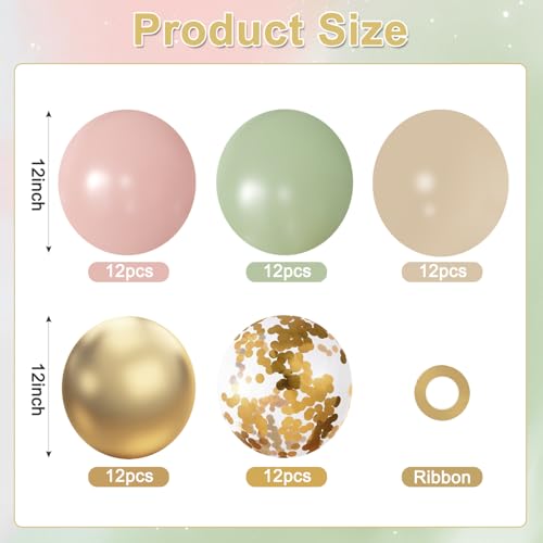 Sage Green and Pink Boho Baby Shower Balloons 60Pcs