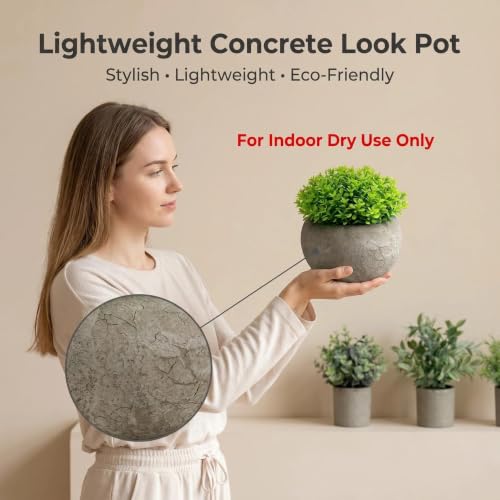 Small Artificial Potted Plants in Cement Pots - Faux Greenery Home Decor