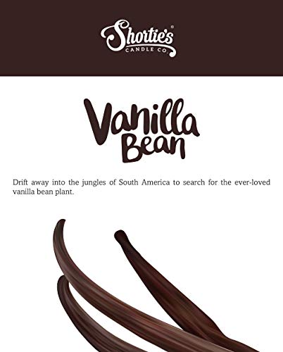 Vanilla Bean Wax Melts - 3 Oz. Long Lasting Premium Scented Wax Blocks