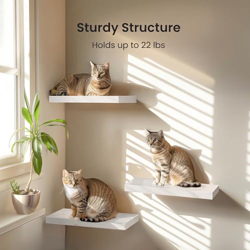 White Floating Wall Shelves - Set of 3 Wood Decor Shelves with Invisible Brackets