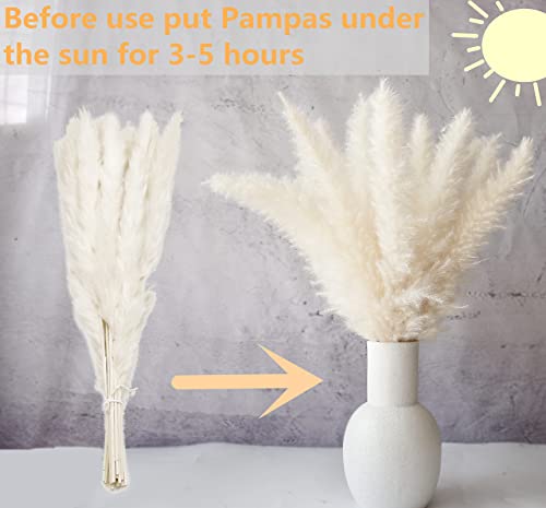 110 Pcs Dried Pampas Grass Bouquet with Bunny Tails - Boho Home Decor