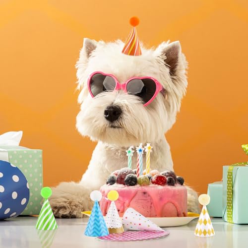 10 PCS Colorful Mini Party Hats for Stuffed Animals and Pets