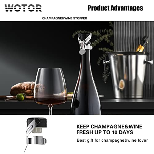 Stainless Steel Wine & Champagne Bottle Stoppers - Leakproof Saver (2 Pack)