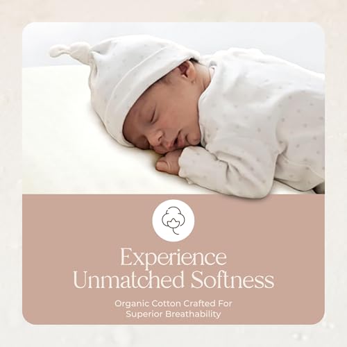 Organic Cotton King Size Pillow Protector - 2 Pack, Zippered Breathable Cover