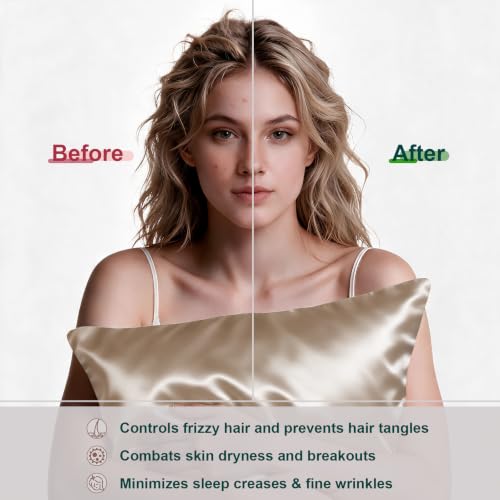 LYSHIN Silk Pillowcase 2 Pack Standard Size with Zipper Champagne