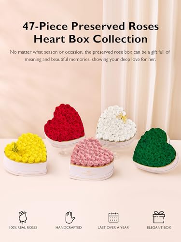47 Preserved Roses in Heart-Shaped Suede Box, Long-Lasting Forever Flowers