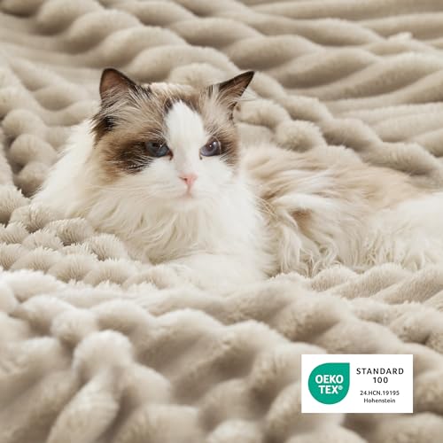 Bedsure Sherpa Blanket Twin Size for Couch - Super Soft, Cozy Fleece Thick Warm Blanket for Winter, GentleSoft Plush & Fluffy Christmas Throw Gift for Women, Home Room Decor, Beige, 60x80 Inches