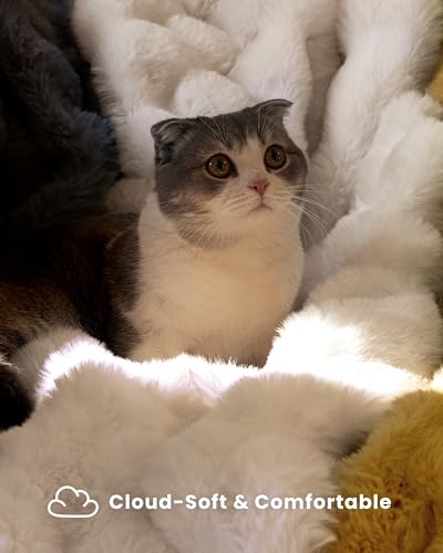 Ultra Soft Faux Fur Bubble Throw Blanket for Couch & Bed - 50x60 Cream White