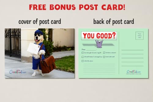 Funny Birthday Fairy Greeting Card, 5x7 Premium Cardstock with Bonus Postcard