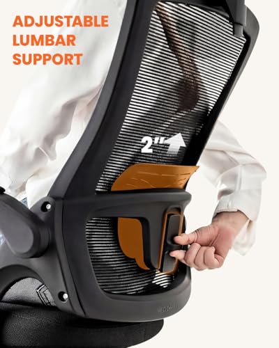 Ergonomic Office Chair with Adjustable Lumbar Headrest and Flip-Up Armrests